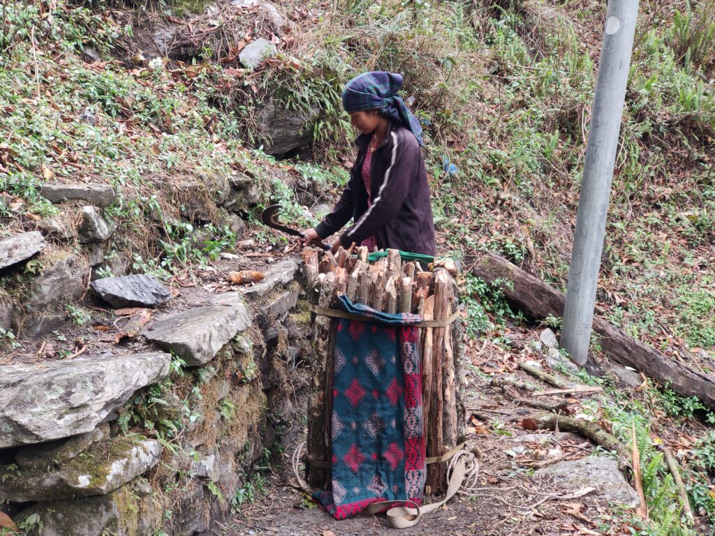 The Gurung women of the Ruby Valley carry a load l found impossible 2